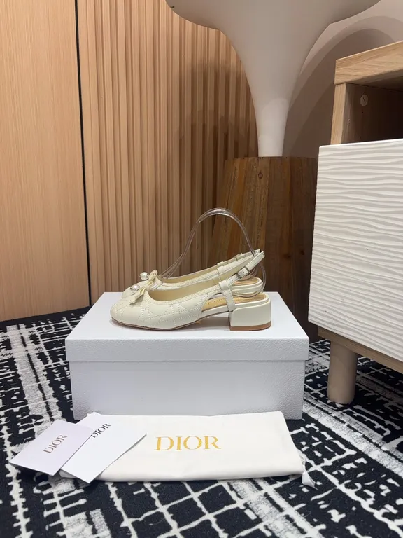 Dior Shoe 